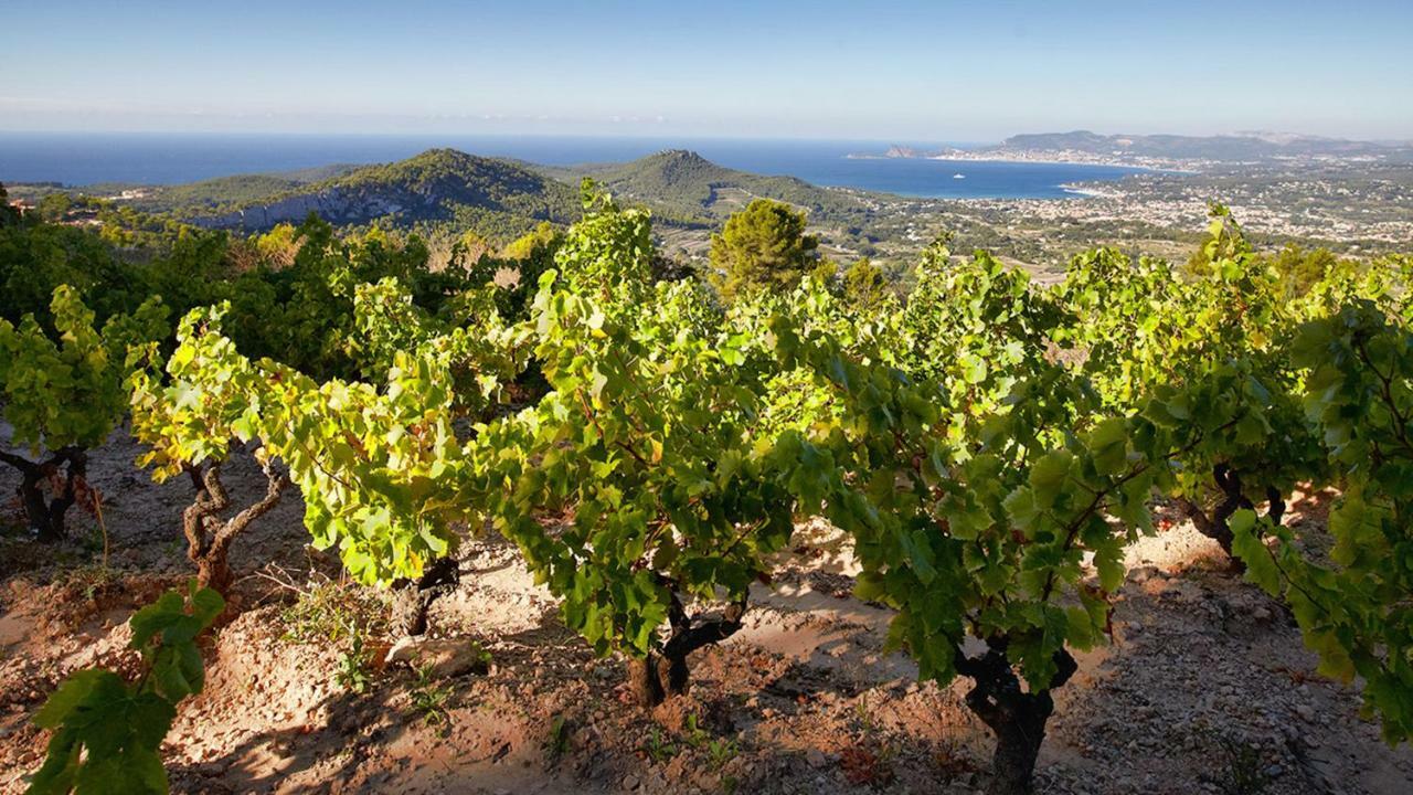 Le Belvedere Bandol Eksteriør billede